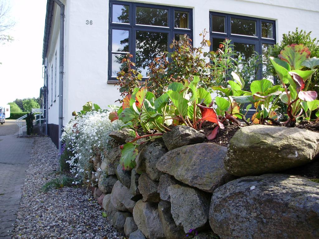 Hovedgård ホヴェドガールデン ベッド&ブレックファースト Bed & Breakfast エクステリア 写真